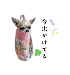 ポリムギ（個別スタンプ：36）