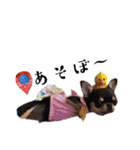 ポリムギ（個別スタンプ：38）