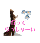 Meyバージョン（個別スタンプ：3）