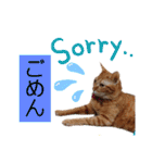 Meyバージョン（個別スタンプ：7）