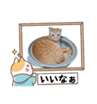 Meyバージョン（個別スタンプ：13）