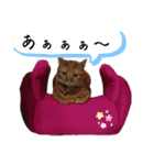 Meyバージョン（個別スタンプ：17）