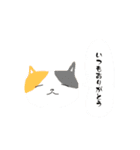 こゆきとちびの日常スタンプ（個別スタンプ：28）