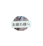 月山卵冷山順功ムン弐突き指（個別スタンプ：7）