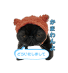 ブサかわネコぺちゃくんの日常スタンプ2（個別スタンプ：14）