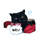 ブサかわネコぺちゃくんの日常スタンプ2（個別スタンプ：20）