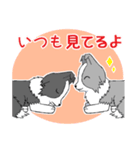 すきすき♪ボーダーズ（個別スタンプ：7）