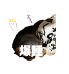 U miSora02（個別スタンプ：16）