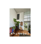 スタンプ作りました。その3（個別スタンプ：4）