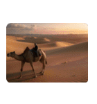 アラブの石油王の偽映画 01（個別スタンプ：36）