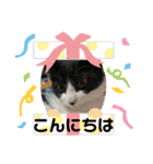 ルキ、ルンルン（個別スタンプ：2）