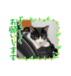 ルキ、ルンルン（個別スタンプ：4）