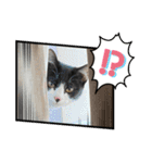 ルキ、ルンルン（個別スタンプ：5）