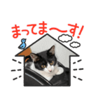 ルキ、ルンルン（個別スタンプ：6）