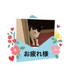 ルキ、ルンルン（個別スタンプ：12）