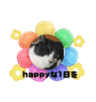 ルキ、ルンルン（個別スタンプ：14）