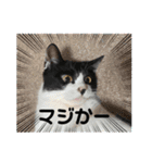ルキ、ルンルン（個別スタンプ：15）