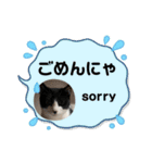 ルキ、ルンルン（個別スタンプ：16）