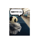 生意気ならんらん（個別スタンプ：3）