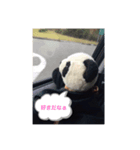 生意気ならんらん（個別スタンプ：8）