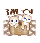 秋の猫☆毎日のネコ（個別スタンプ：2）