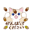 秋の猫☆毎日のネコ（個別スタンプ：29）