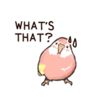 毎日頑張るアキクサインコスタンプ英語版（個別スタンプ：14）