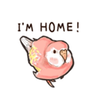 毎日頑張るアキクサインコスタンプ英語版（個別スタンプ：21）