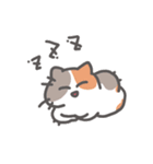 ざっしゅとかいろいろネコスタンプ（個別スタンプ：8）