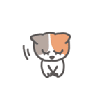 ざっしゅとかいろいろネコスタンプ（個別スタンプ：13）