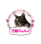 ソラムちゃん2（個別スタンプ：5）