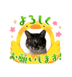 ソラムちゃん2（個別スタンプ：6）