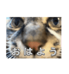 ソラムちゃん2（個別スタンプ：9）
