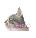 ソラムちゃん2（個別スタンプ：13）
