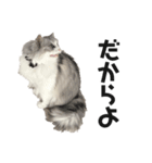 かわいいふうこ（個別スタンプ：8）