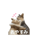 うちの子が1番と言う話をしています。（個別スタンプ：10）