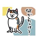 三毛猫フクちゃん（個別スタンプ：3）