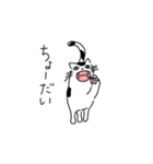 白黒ねこの日常（個別スタンプ：14）