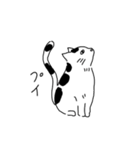 白黒ねこの日常（個別スタンプ：36）