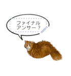 おもしろ猫さんズ（個別スタンプ：6）