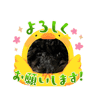 トイプードル・ブラック/チェイスくん（個別スタンプ：1）