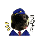 トイプードル・ブラック/チェイスくん（個別スタンプ：16）