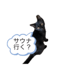 黒猫武々（個別スタンプ：4）