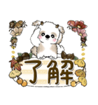 シーズー犬『初秋』（個別スタンプ：3）