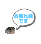イエアメガエルのデカ文字スタンプ（個別スタンプ：1）
