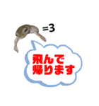 イエアメガエルのデカ文字スタンプ（個別スタンプ：3）