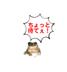 イエアメガエルのデカ文字スタンプ（個別スタンプ：6）