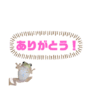 イエアメガエルのデカ文字スタンプ（個別スタンプ：14）