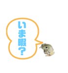 イエアメガエルのデカ文字スタンプ（個別スタンプ：15）