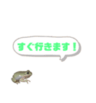 イエアメガエルのデカ文字スタンプ（個別スタンプ：18）